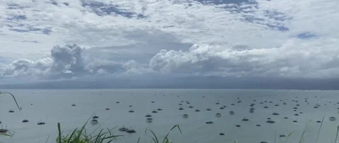 A Group Of Boats Stock Footage 269535994