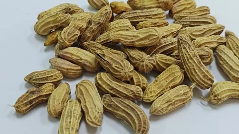 Group of boiled peanuts in shells scattered on white background. Видео 339991017