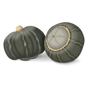 Group of Bonbon Squash. Illustrazione stock