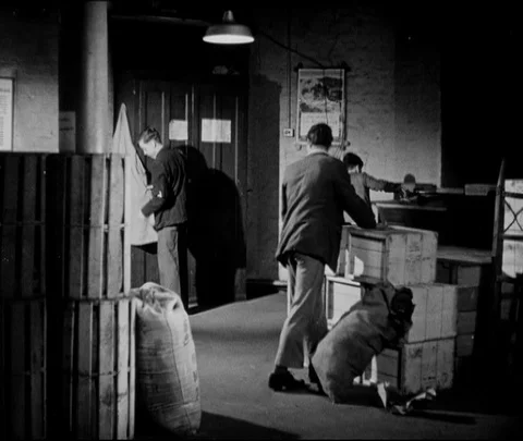 Group of boys going through abandoned stuff, United Kingdom, UK, 1946 Stock Footage 133377947