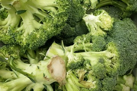 Group Of Broccoli, Close-up Broccoli Texture. Many Broccoli In A Group Stock Photos
