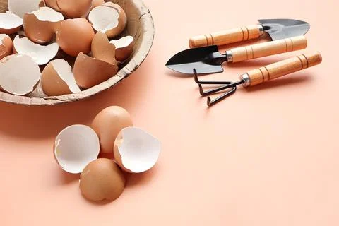Group of broken egg shells and set of gardening on beige colored background. Stock Photos