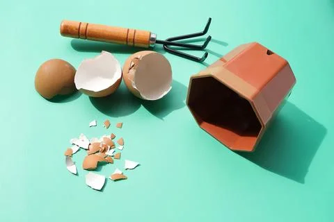 Group of broken egg shells and empty plastic flower pot on green background. Stock Photos