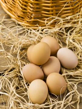 Group of brown eggs Stock Photos