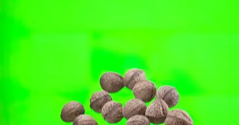 Group of brown nuts on a green background Stock Photos