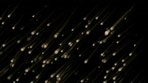 Group of brown sperm racing in space.bio,birth,cell,evolution,microscope,motherh Stock-Footage 796645