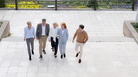 Group of business people talking while walking outdoors Stock Footage 244067388