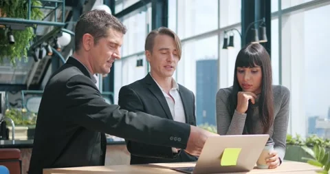 A group of business people working on computers together Stock Footage 165601078