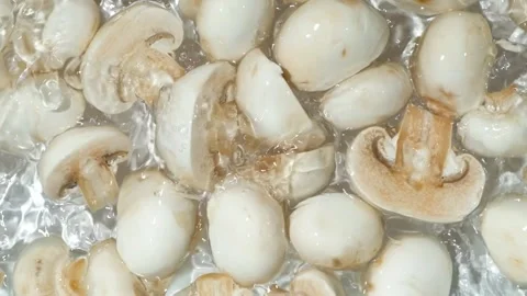 Group of Button White Mushrooms in a Water Splash Slow Motion. Stock Footage 310248337