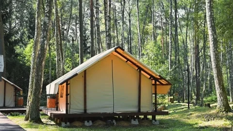 A group of cabin-like tents sits in a forest location with trees surrounding 库存影片 345036543