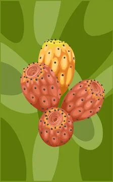 A group of cactus fruit on a green background. Fruits and plants of cactus Stock Illustration