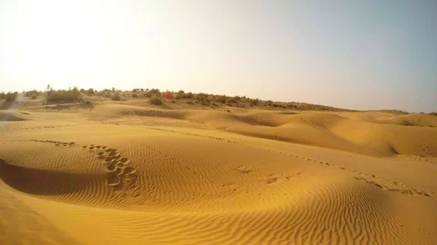Group of camel move in horizon yellow sand dunes desert Thar Rajasthan Stock Footage 90881250
