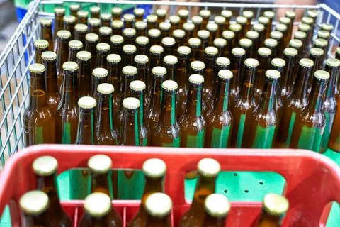Group of capped beers lined in two plastic boxes ready for the distribution i Stock Photos