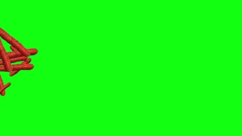 Group of Carrots animation , editable background, green screen chroma key Stock Footage 123820265