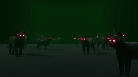 Group of Cat Eye Glow Background Vídeo Stock 276761870