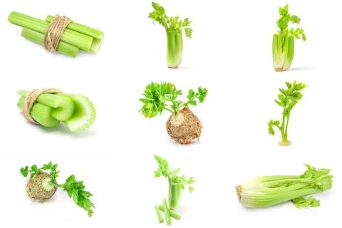 Group of celeriac on white Foto stock
