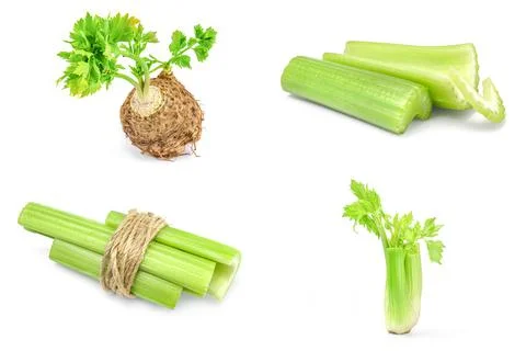 Group of celery isolated on a white background Stock Photos
