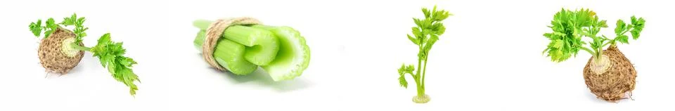 Group of celery on a white background Foto stock