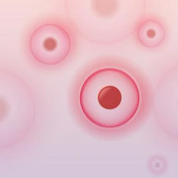 Group of Cells - Vector Illustration Stock Illustration