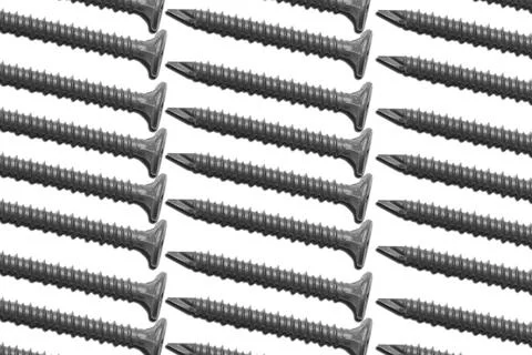 Group cement board screws construction sharp point coated phillips drive Foto stock