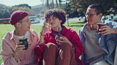 Group of Cheerful Friends Talking and Drinking Mate in Public Park Stock Footage 345385753