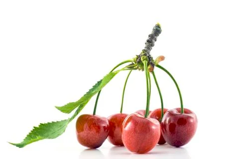 Group of cherries connected together Stock Photos