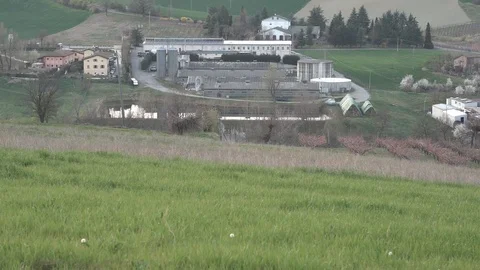 A group of cherry blossom trees Stock Footage 105321867