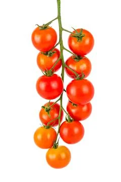 A group Cherry tomatoes isolated on white background Stock Photos