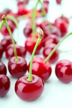 Group of cherry on a white Stock Photos
