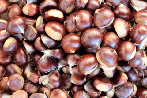 A group of chestnuts Stock Photos
