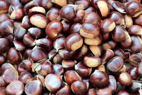 A group of chestnuts Stock Photos