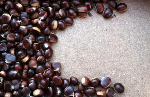 A group of chestnuts Stock Photos