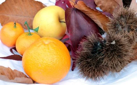 A group of chestnuts Stock Photos