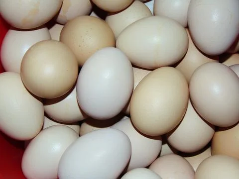 Group of chicken eggs - closeup Foto stock