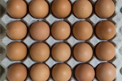 Group of chicken eggs. Stock Photos