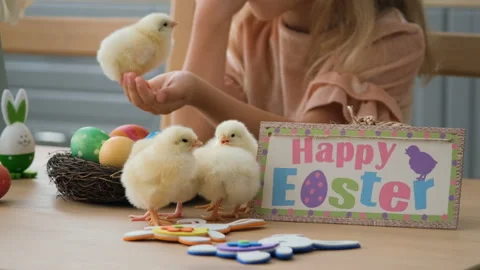 Group of Chickens Standing by Ester Eggs on Table Stock Footage 168239929