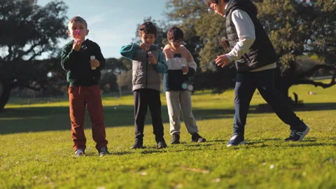 Group of children blowing soap bubbles in the park Stock Footage 330197985