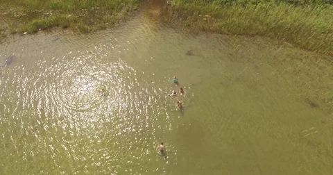 Group of children having fun at the lake Stock Footage 85319136