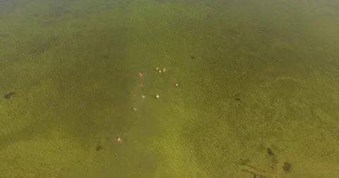 Group of children having fun at the lake Stock Footage 85319778