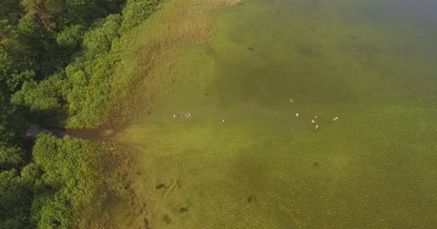 Group of children having fun at the lake Stock Footage 85320239