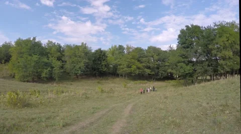 A group of children makes a run through the park with a teacher. Stock-Footage 54635893