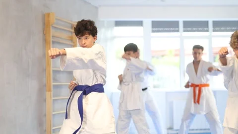 Group of children posing together, practicing karate moves at class indoor in Stock Footage 346122558