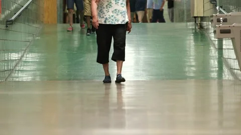 Group of children walking in Gilmartin Elementary school hallway Stock Footage 304367658