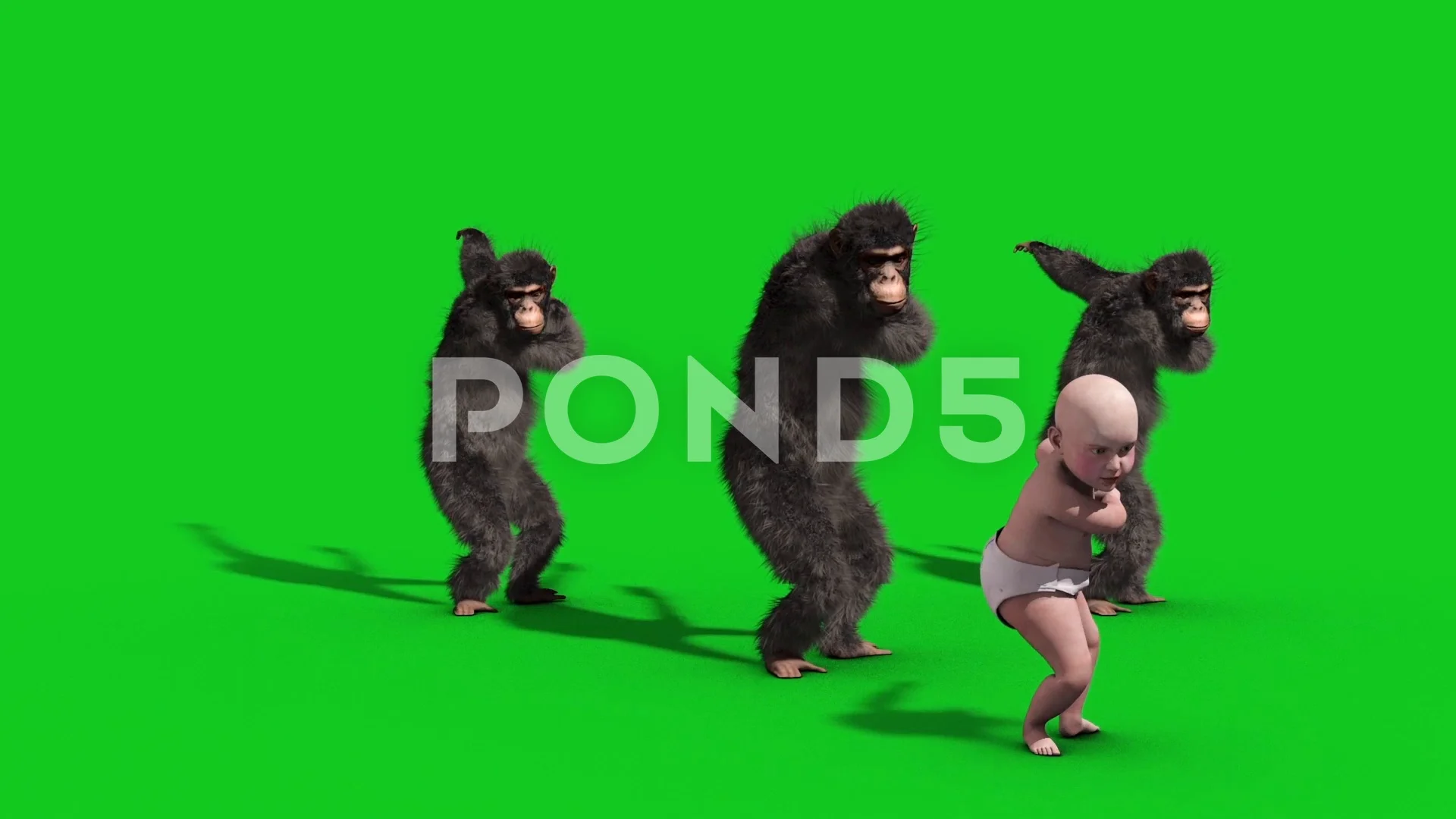 Group Chimpanzee Baby House Dance Dancer... | Stock Video | Pond5 Group Chimpanzee Baby House Dance Dancer... | Stock Video | Pond5