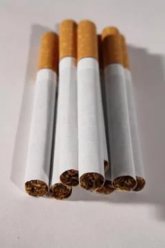 Group of cigarettes on white Stock Photos