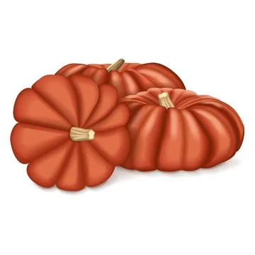Group of Cinderella pumpkin. Stock Illustration