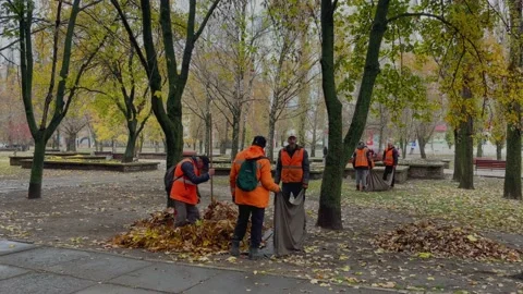 Group of cleaning workers in orange uniform are removing autumn leaves from the Stock Footage 201315660