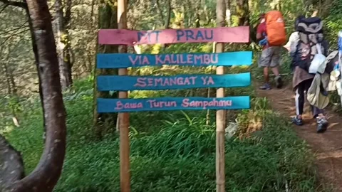 Group of climbers Stock Footage 259985163