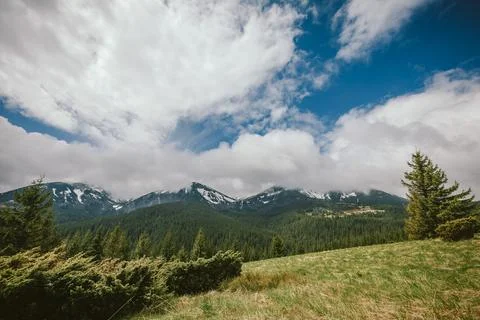 A group of clouds on a grassy hill Stock Photos