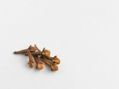 A group of cloves on a white background. copyspace Stock Photos